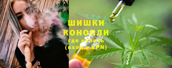 прущие грибы Аркадак